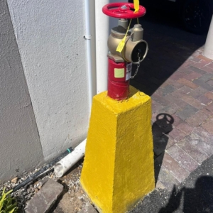 876014621617651_6pgas